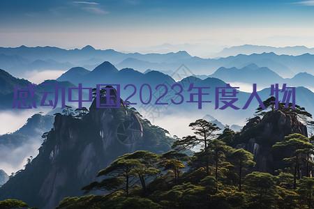 感动中国2023年度人物刘玲琍个人事迹