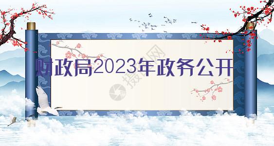 财政局2023年政务公开工作总结和2024年工作思路