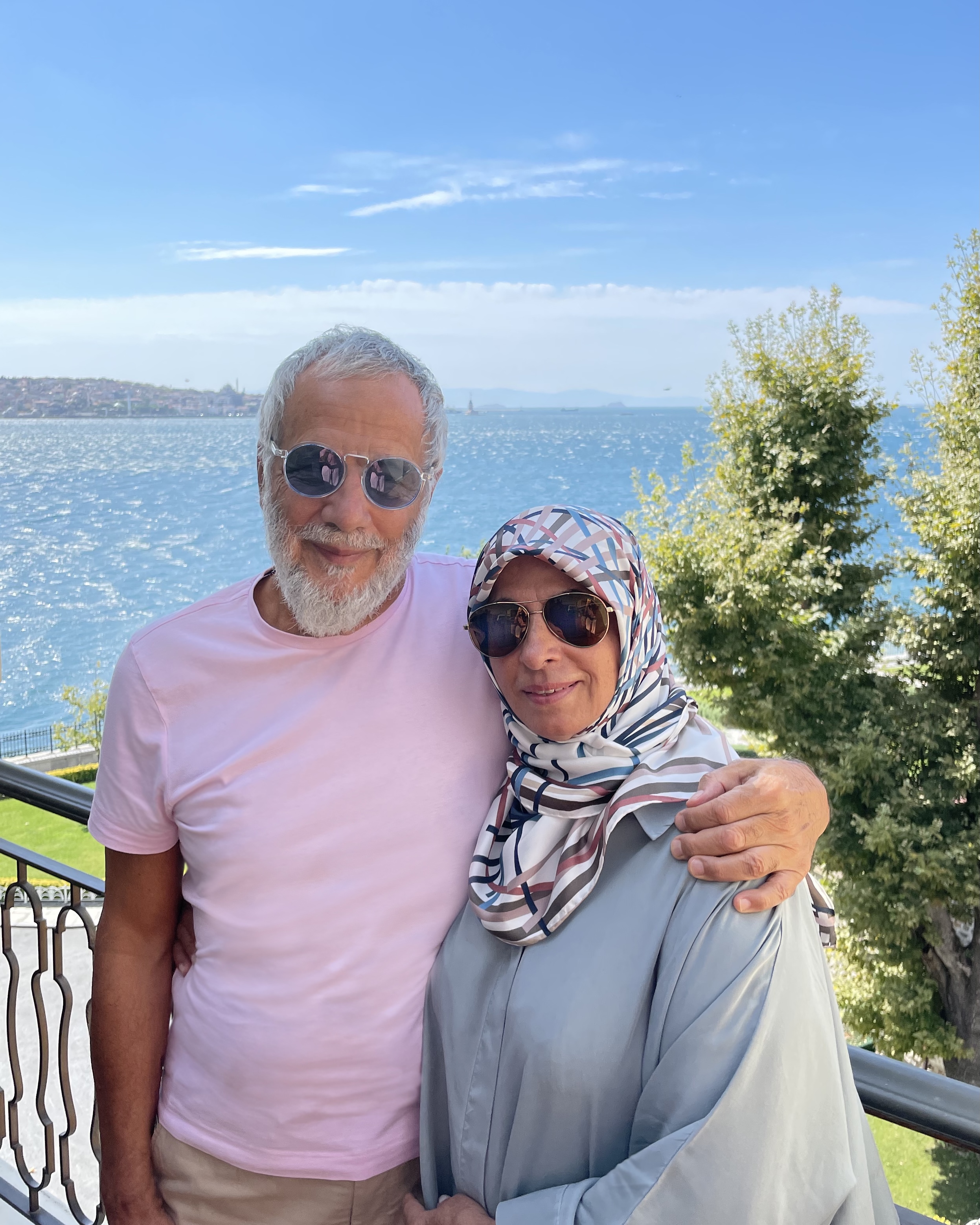 cat stevens and wife