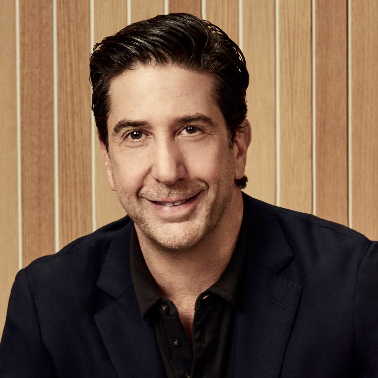 pictures of david schwimmer