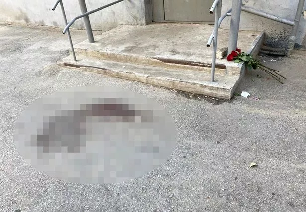 ekaterina alexandrovskaya autopsy report