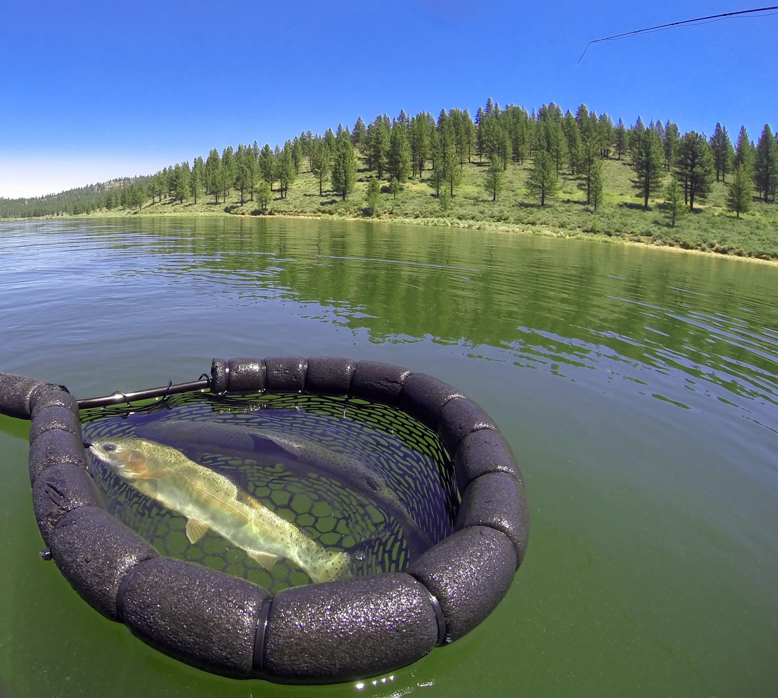 frenchman lake weather