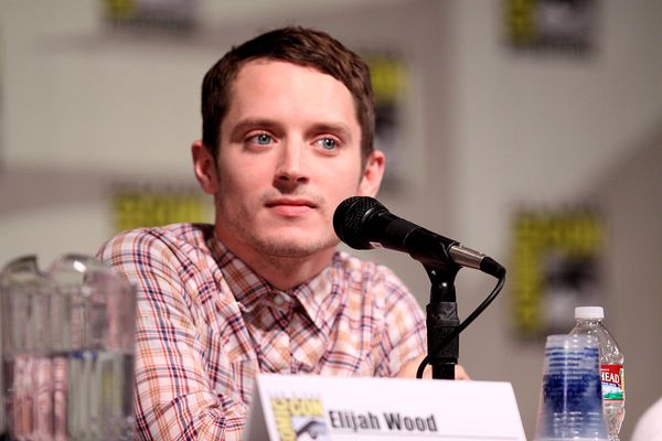 elijah wood twin brother