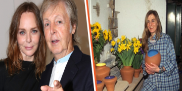 heather mccartney houseware collection