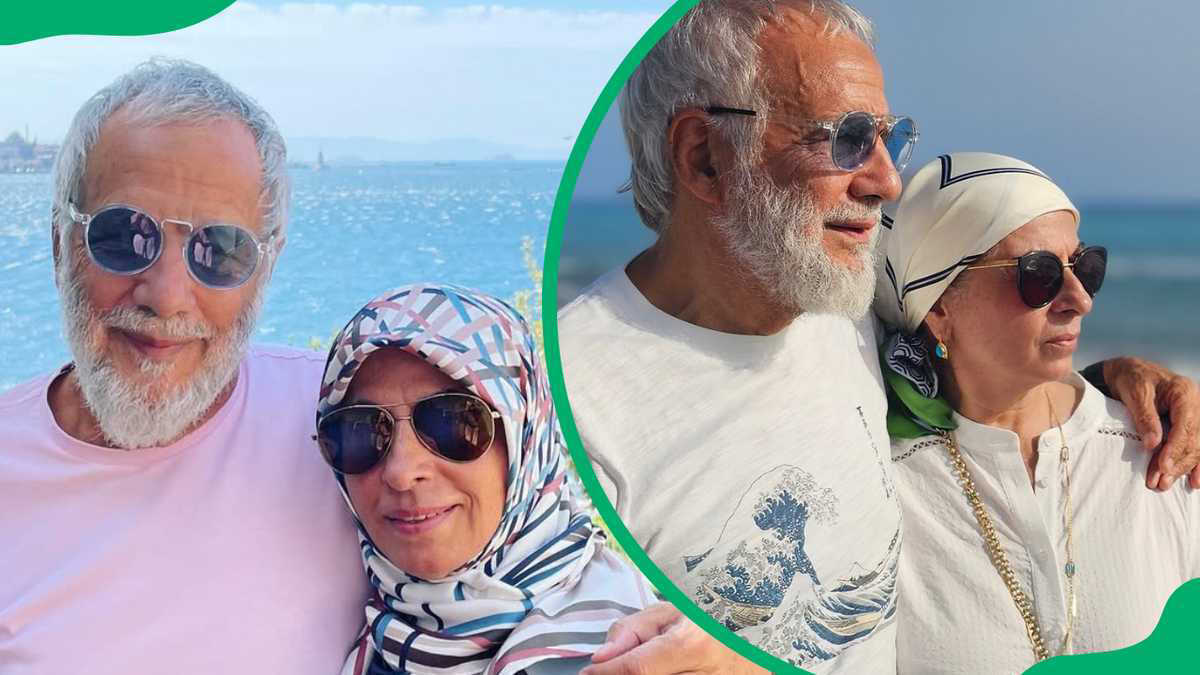cat stevens and wife