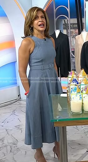 hoda kotb dress