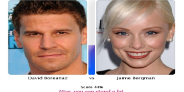 david boreanaz affair